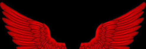 a picture of red wings stretched out to their full span.