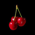 a picture of three cherries on a black background